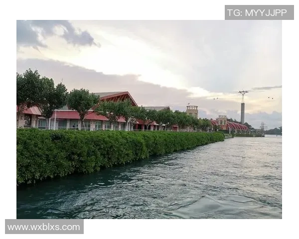 深圳滑板队团队协作引发热议背后的争议与思考